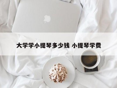 大学学小提琴多少钱 小提琴学费