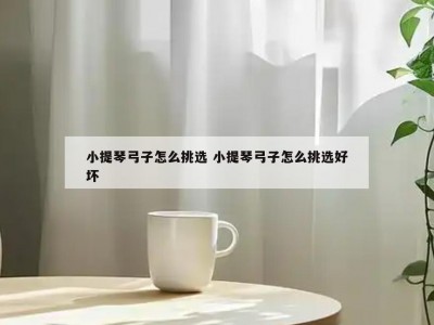 小提琴弓子怎么挑选 小提琴弓子怎么挑选好坏