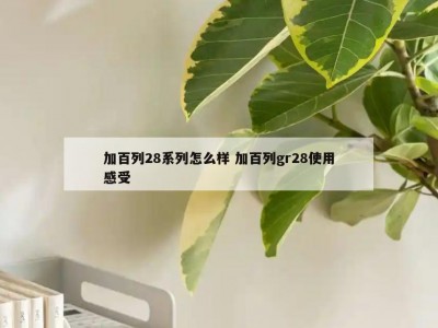 加百列28系列怎么样 加百列gr28使用感受