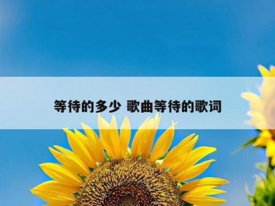 等待的多少 歌曲等待的歌词