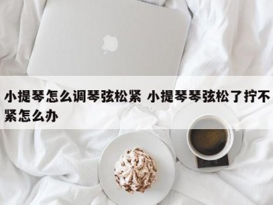 小提琴怎么调琴弦松紧 小提琴琴弦松了拧不紧怎么办