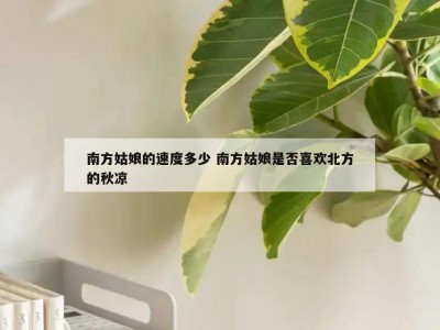 南方姑娘的速度多少 南方姑娘是否喜欢北方的秋凉