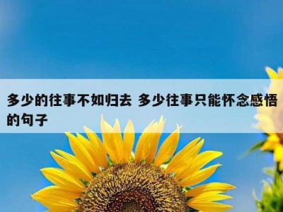 多少的往事不如归去 多少往事只能怀念感悟的句子