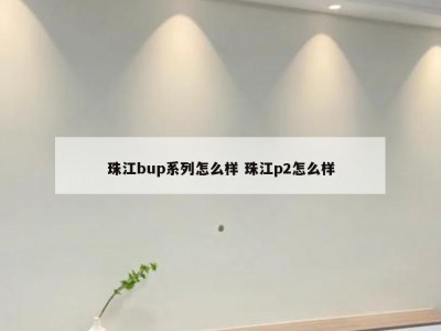 珠江bup系列怎么样 珠江p2怎么样