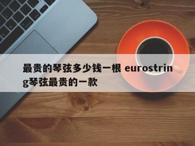 最贵的琴弦多少钱一根 eurostring琴弦最贵的一款