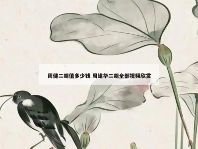 周健二胡值多少钱 周建华二胡全部视频欣赏