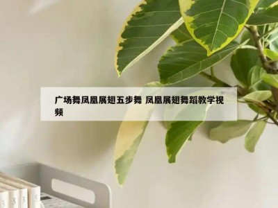 广场舞凤凰展翅五步舞 凤凰展翅舞蹈教学视频
