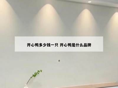 开心鸭多少钱一只 开心鸭是什么品牌