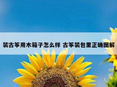 装古筝用木箱子怎么样 古筝装包里正确图解