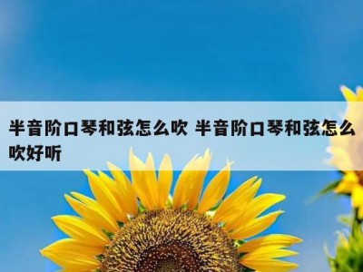 半音阶口琴和弦怎么吹 半音阶口琴和弦怎么吹好听