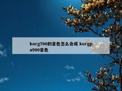 korg700的音色怎么合成 korgpa900音色