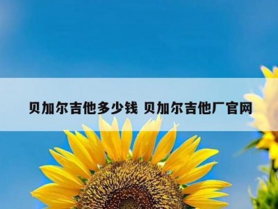 贝加尔吉他多少钱 贝加尔吉他厂官网