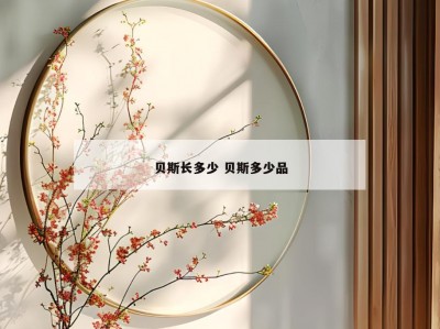 贝斯长多少 贝斯多少品