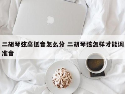 二胡琴弦高低音怎么分 二胡琴弦怎样才能调准音