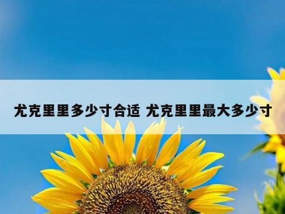 尤克里里多少寸合适 尤克里里最大多少寸