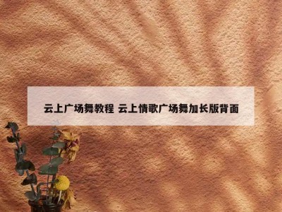 云上广场舞教程 云上情歌广场舞加长版背面