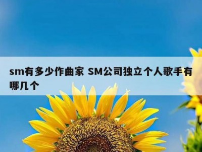 sm有多少作曲家 SM公司独立个人歌手有哪几个