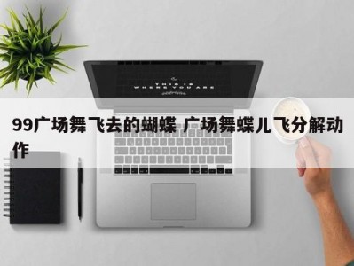 99广场舞飞去的蝴蝶 广场舞蝶儿飞分解动作