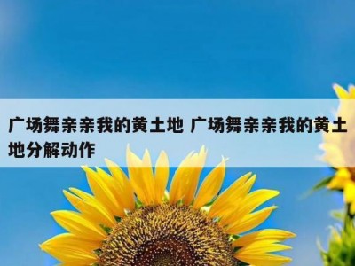 广场舞亲亲我的黄土地 广场舞亲亲我的黄土地分解动作