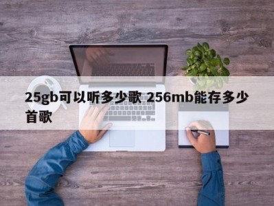 25gb可以听多少歌 256mb能存多少首歌
