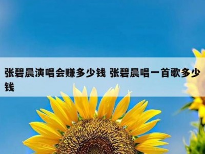 张碧晨演唱会赚多少钱 张碧晨唱一首歌多少钱