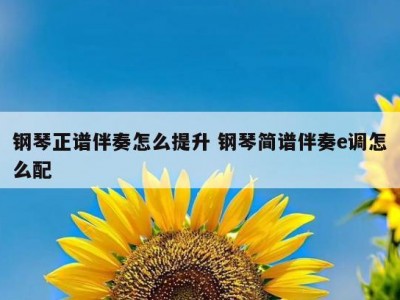 钢琴正谱伴奏怎么提升 钢琴简谱伴奏e调怎么配