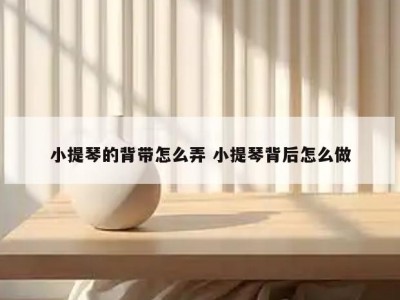 小提琴的背带怎么弄 小提琴背后怎么做