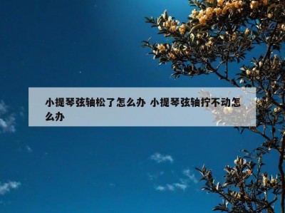小提琴弦轴松了怎么办 小提琴弦轴拧不动怎么办