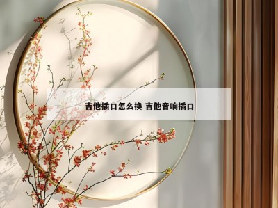 吉他插口怎么换 吉他音响插口