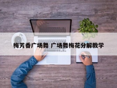 梅芳香广场舞 广场舞梅花分解教学