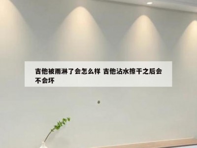 吉他被雨淋了会怎么样 吉他沾水擦干之后会不会坏