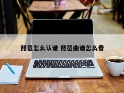 琵琶怎么认谱 琵琶曲谱怎么看