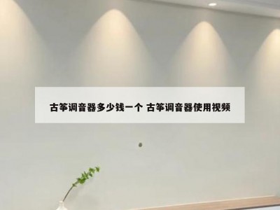 古筝调音器多少钱一个 古筝调音器使用视频