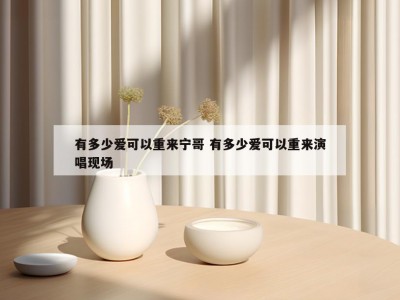 有多少爱可以重来宁哥 有多少爱可以重来演唱现场