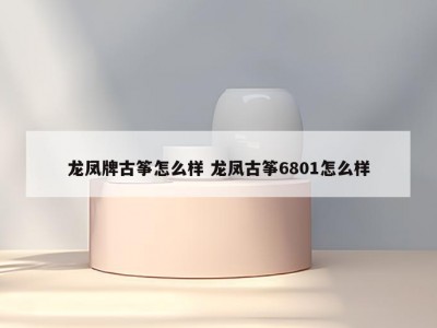 龙凤牌古筝怎么样 龙凤古筝6801怎么样