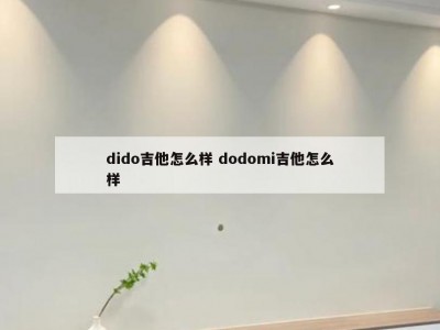 dido吉他怎么样 dodomi吉他怎么样