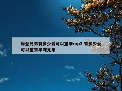 摩登兄弟有多少爱可以重来mp3 有多少爱可以重来半吨兄弟
