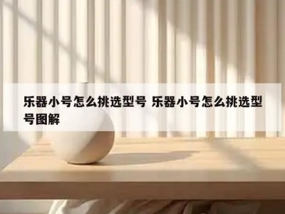 乐器小号怎么挑选型号 乐器小号怎么挑选型号图解