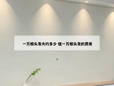 一万根头发大约多少 植一万根头发的费用