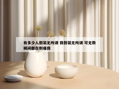 有多少人假装无所谓 我假装无所谓 可无数瞬间都在刺痛我