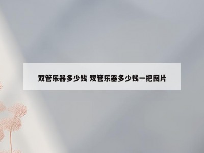 双管乐器多少钱 双管乐器多少钱一把图片