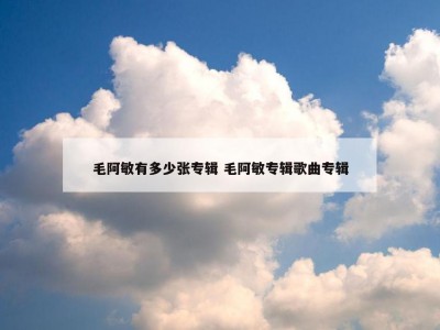 毛阿敏有多少张专辑 毛阿敏专辑歌曲专辑