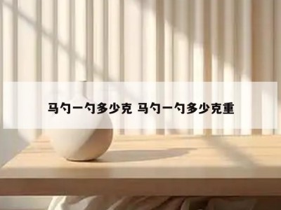 马勺一勺多少克 马勺一勺多少克重
