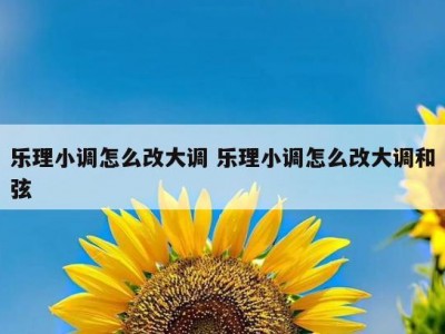 乐理小调怎么改大调 乐理小调怎么改大调和弦