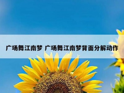 广场舞江南梦 广场舞江南梦背面分解动作