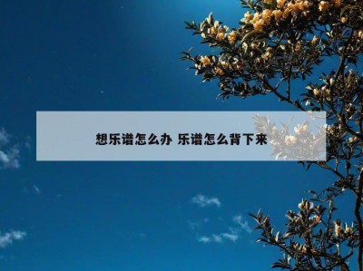 想乐谱怎么办 乐谱怎么背下来