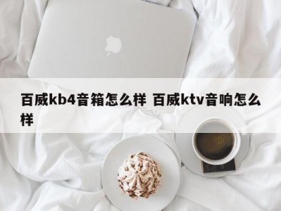 百威kb4音箱怎么样 百威ktv音响怎么样