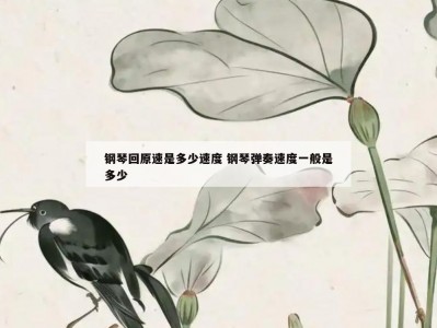 钢琴回原速是多少速度 钢琴弹奏速度一般是多少
