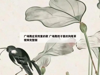 广场舞庄家院里的歌 广场舞院子里的狗尾草视频完整版