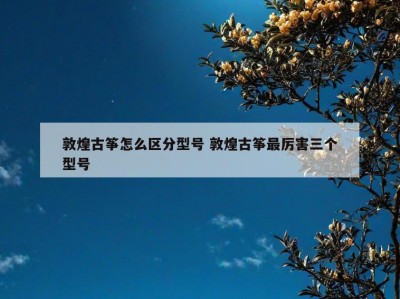 敦煌古筝怎么区分型号 敦煌古筝最厉害三个型号
